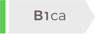 B1ca