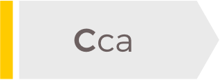 Cca