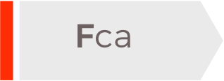 Fca