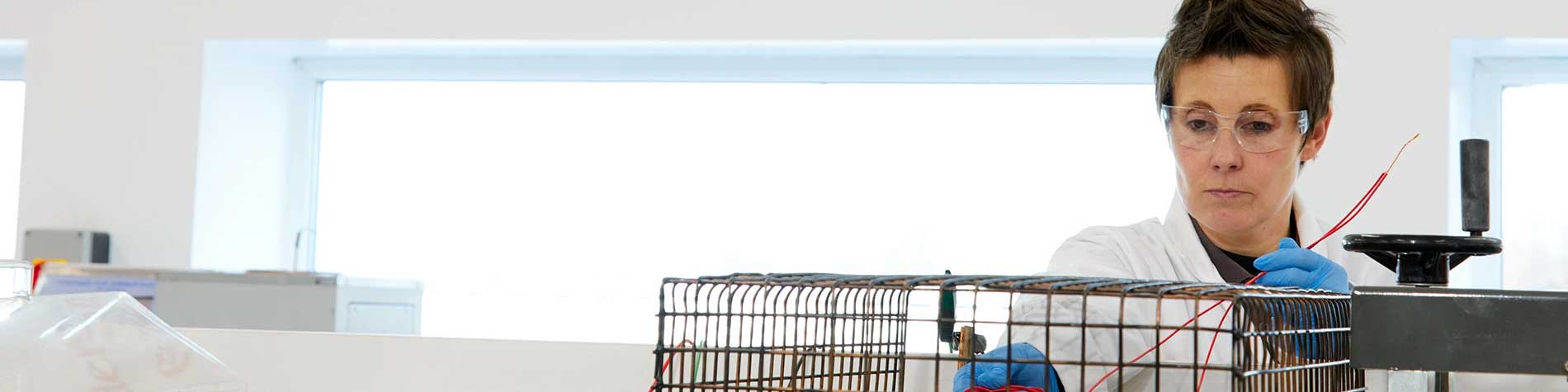 Cable Compliance Banner