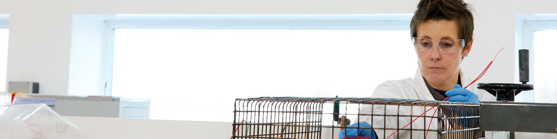 Cable Compliance Banner