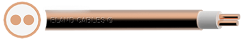 BS6387 cable