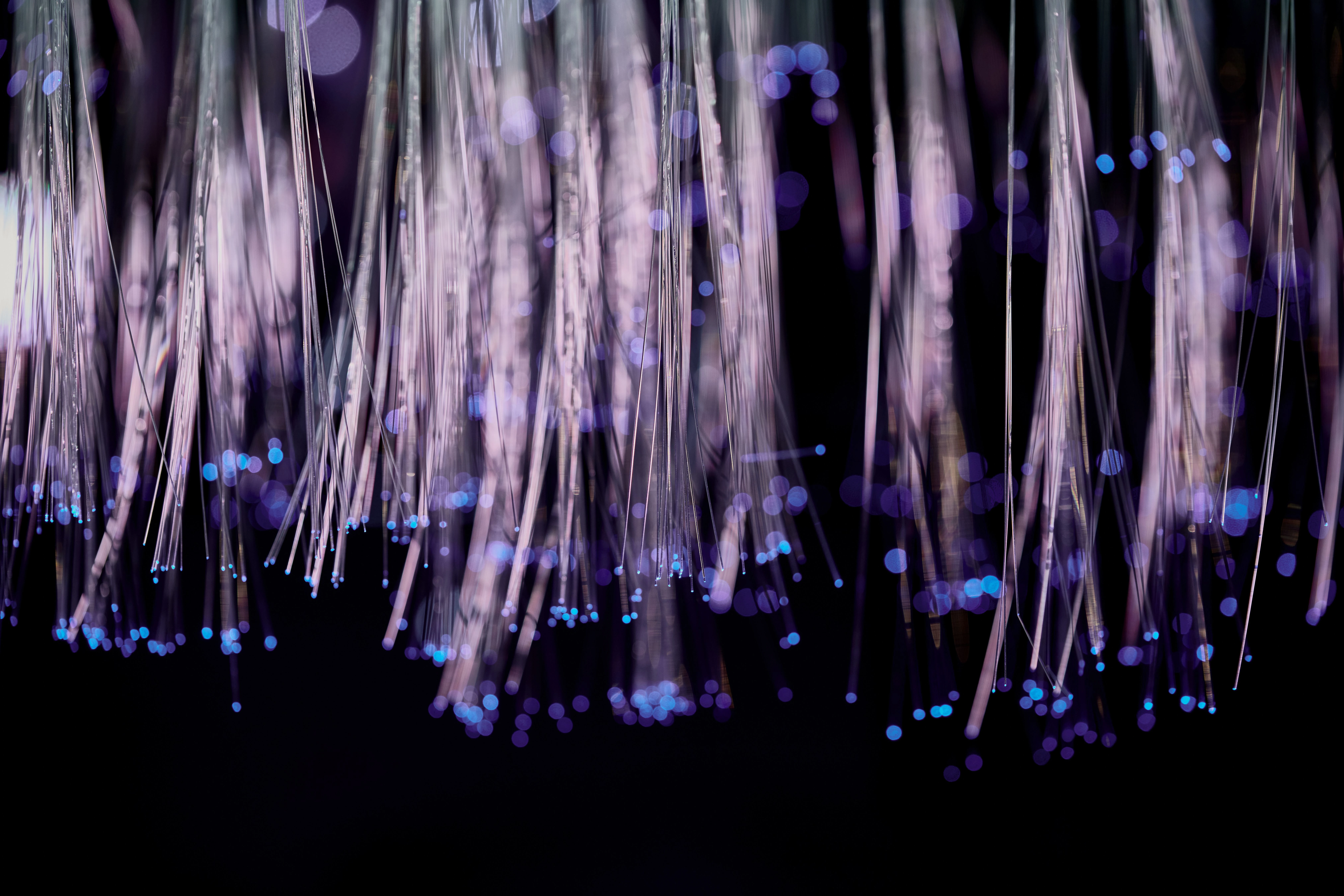 Close up of fiber optic cables