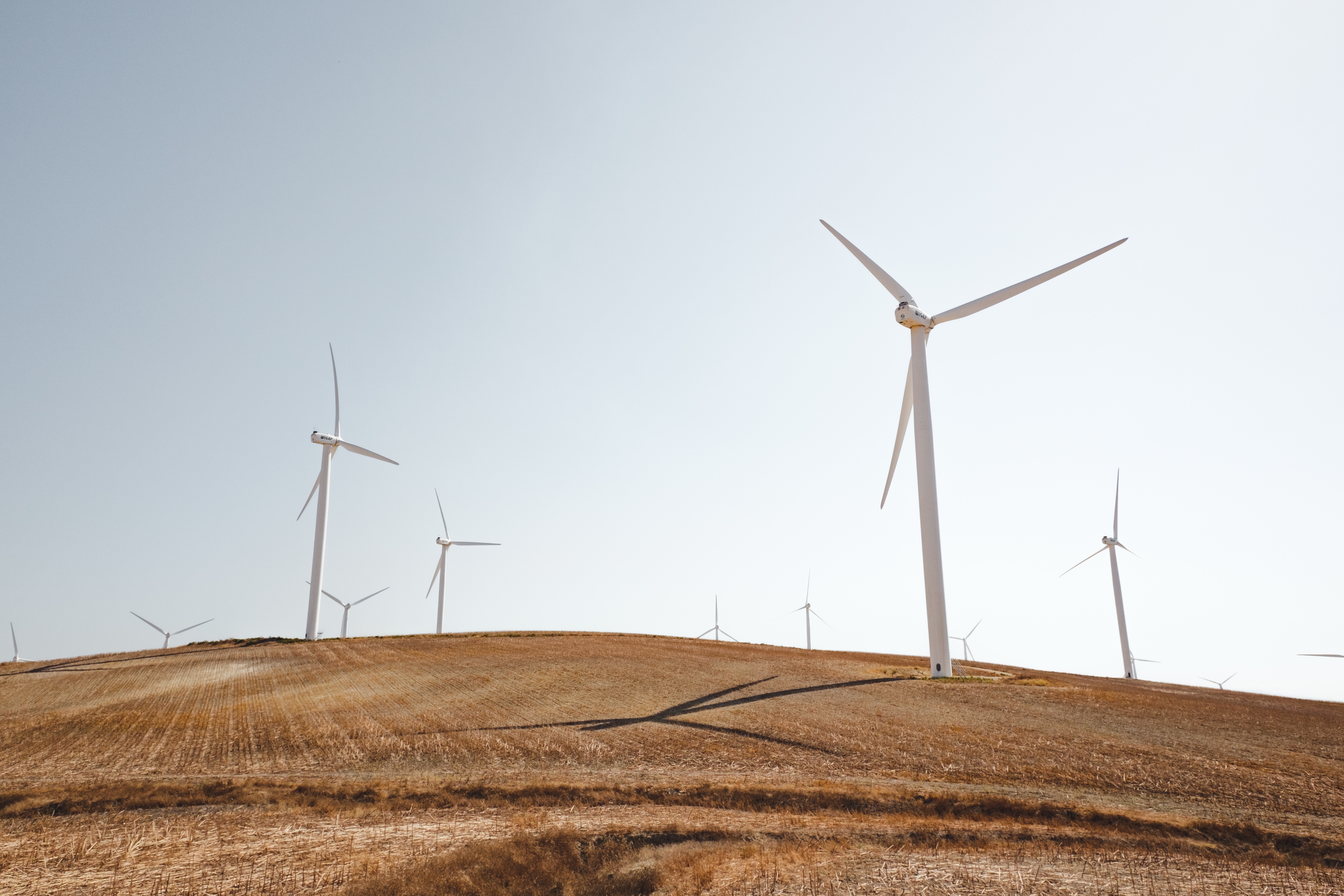 Wind Turbine MV Energy Insight