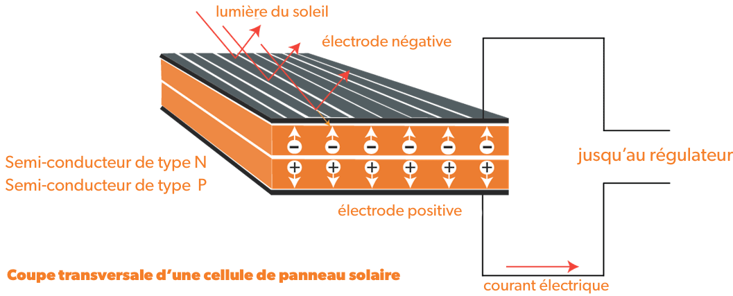 Coupe transversale d'une cellule de panneau solaire