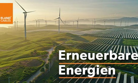 Renewable Energy (DE 2025)