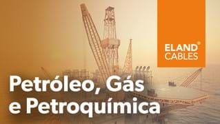 Oil , Gas and Petrochemicals PT