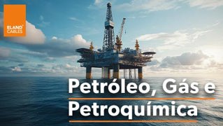 Oil , Gas and Petrochemicals PT