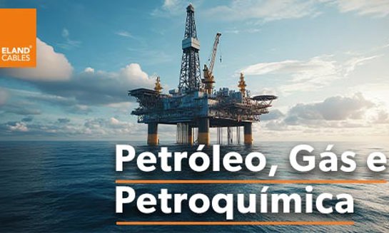 Oil , Gas and Petrochemicals PT