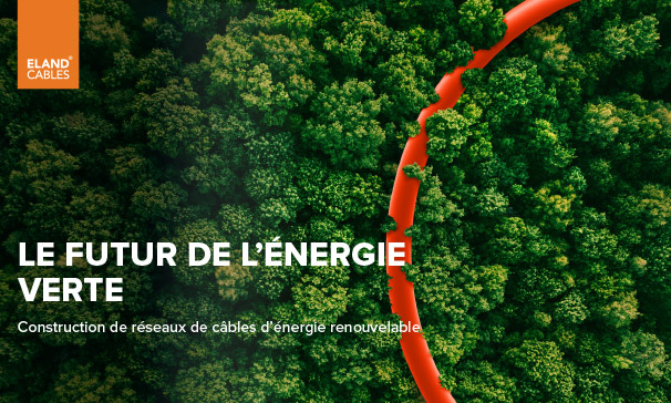 Le Future De L'energir Verte Web Article.Jpg