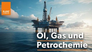 Oil Gas & Petrochemicals - DE
