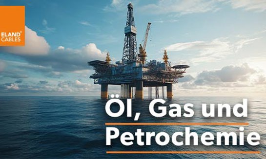 Oil Gas & Petrochemicals - DE
