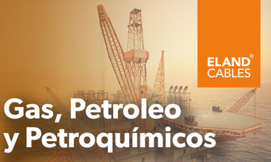 Oil , Gas and Petrochemicals ES