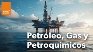 Oil , Gas and Petrochemicals ES