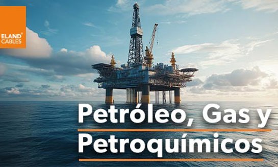 Oil , Gas and Petrochemicals ES