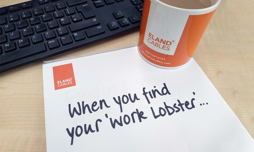 Professional Happiness - When You Find Your Work Lobster