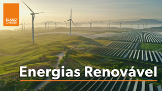 Renewables (new) PT