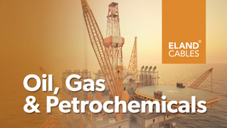 Oil , Gas and Petrochemicals