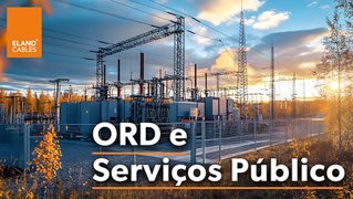 DNOs - PT