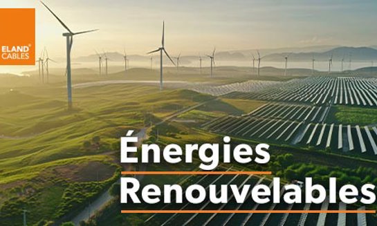 Renewable Energy FR 2025