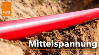 Medium Voltage 2025 (DE)