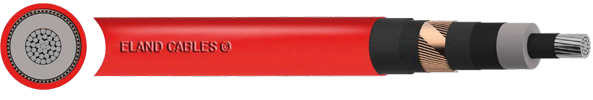Eaxecg Cable