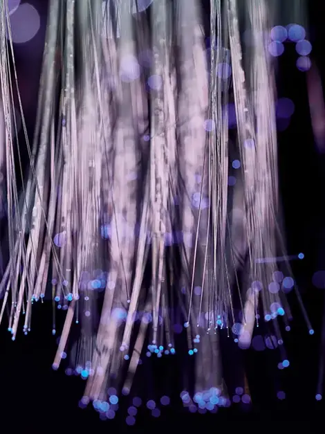 Close up of fiber optic cables