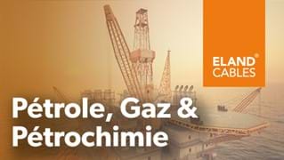 Oil, Gas & Petrochemical - FR | Pétrole, Gaz & Pétrochimie