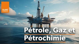 Oil, Gas & Petrochemical - FR | Pétrole, Gaz & Pétrochimie
