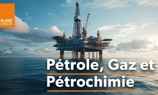 Oil, Gas & Petrochemical - FR | Pétrole, Gaz & Pétrochimie