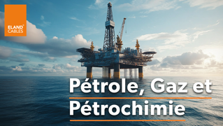 Oil, Gas & Petrochemical - FR | Pétrole, Gaz & Pétrochimie