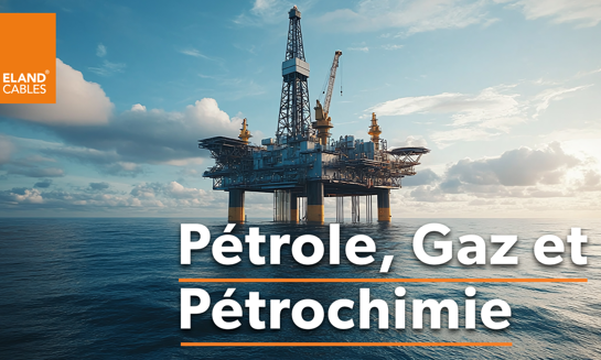 Oil, Gas & Petrochemical - FR | Pétrole, Gaz & Pétrochimie