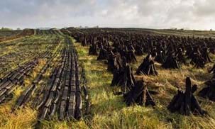 Insight - Ireland peat bogs for renewable energy