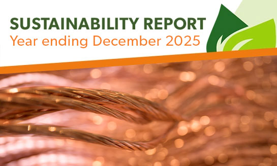 Sustainability Report 2025 Thumbnail Downloads
